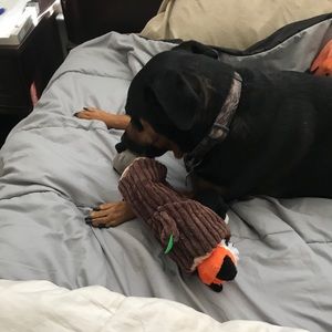 Meet your Posher, Jed